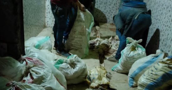 ضبط 1.2 طن دواجن نافقة داخل مخزن فى الجيزة قبل طرحها بالأسواق