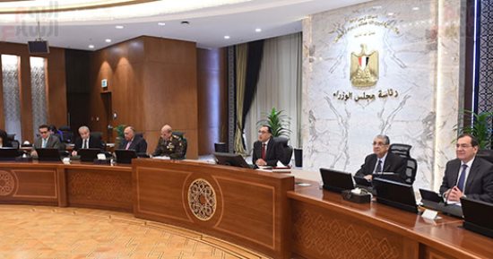 الحكومة تعفى 25 ألف طن دواجن مجمدة من الضرائب الجمركية