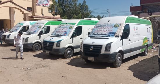 الكشف على 1059حالة فى قافلة طبية مجانية بالجرايشة بالإسماعيلية ضمن حياة كريمة