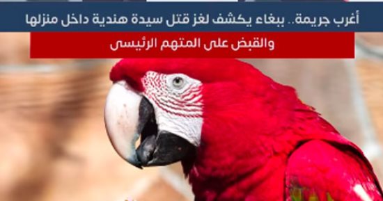 أغرب جريمة.. ببغاء يكشف لغز قتل سيدة هندية داخل منزلها (فيديو)