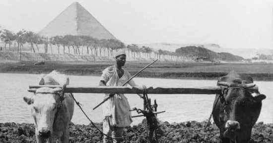 شاهد صورة نادرة لترعة المريوطية بالهرم عام 1900