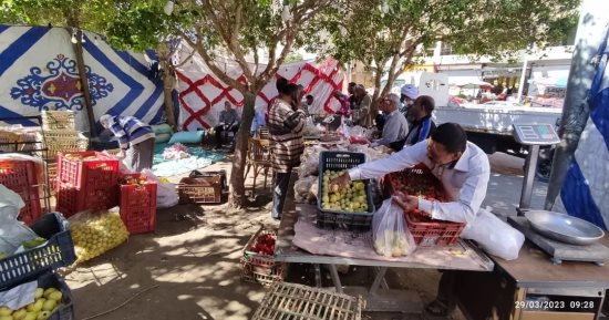 استمرار طرح خضروات وفاكهة بأسعار مخفضة بمنافذ مجلس مدينة الخارجة.. صور