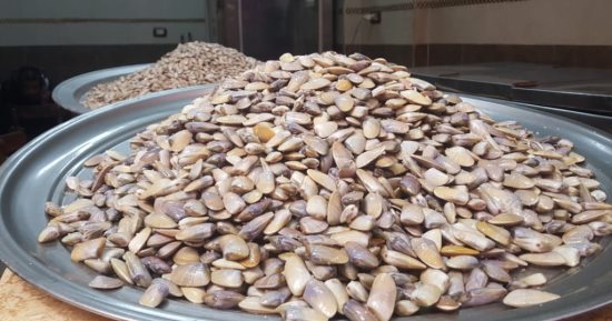 طازة وعال يا أم الخلول.. حكايات أشهر الأكلات الرمضانية بالبحيرة.. يتم تناولها على الإفطار  والسحور مع أطباق "الحباش".. أم الخلول تقوى الجهاز المناعى للجسم وتعزز القدرة الجسدية وتقى من هشاشة العظام