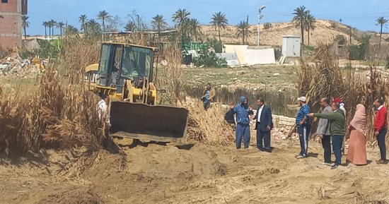 حملات على الأسواق والمحال وزراعة الأشجار بمراكز كفر الشيخ.. صور