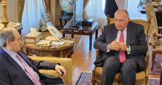 فى أول زيارة لوزير خارجية سورى إلى القاهرة منذ أكثر من 10 سنوات.. مباحثات مصرية - سورية على مستوى وزيرى الخارجية.. سامح شكرى: تسوية أزمة سوريا ستضع حدا للتدخلات الخارجية.. والمقداد يستعرض تحديات تواجه شعب سوريا