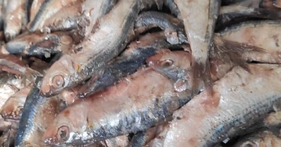بيطرى المنوفية: ضبط 6 أطنان لحوم ودواجن وأسماك غير صالحة للاستهلاك