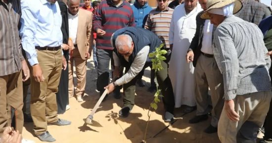 محافظ الوادي الجديد يتفقد مشروعات "حياة كريمة" بالفرافرة