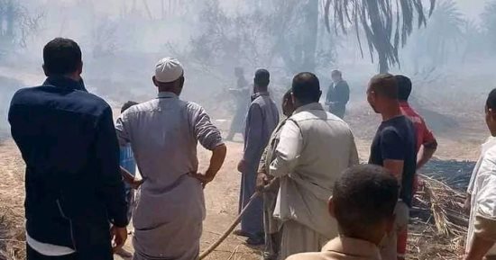 السيطرة على حريق بمزارع نخيل على مساحة 9 أفدنة فى مطروح.. صور
