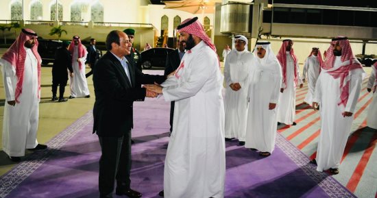 الرئاسة: الرئيس السيسى وولى العهد السعودى أشادا بالعلاقات التاريخية الوثيقة بين البلدين "صور"