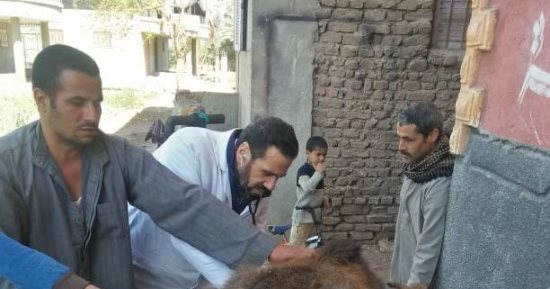 جامعة الزقازيق توجه قافلة بيطرية لعزبة عرب المحاسن بالشرقية