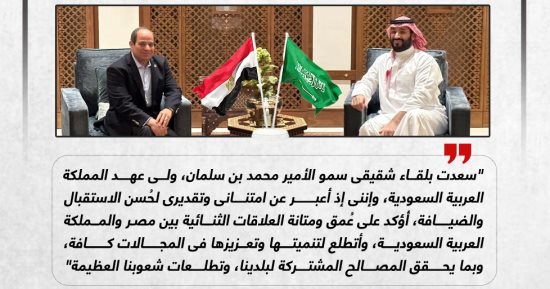 الرئيس السيسى: سعدت بلقاء شقيقى الأمير محمد بن سلمان (إنفوجراف)