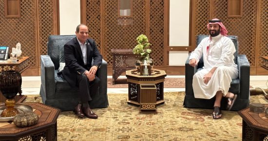 الرئيس السيسى: سعدت بلقاء شقيقي سمو الأمير محمد بن سلمان