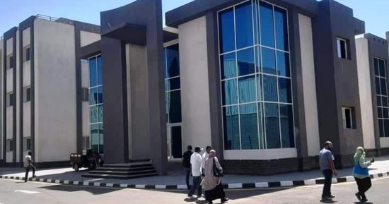 بدء تشغيل المنطقة الصناعية الحرفية بالجنينة والشباك بأسوان.. تعرف عليها