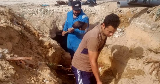 استخراج جذور الأشجار من الشبكات وإعادة ضخ مياه الشرب لـ90 منزلا بالإسماعيلية