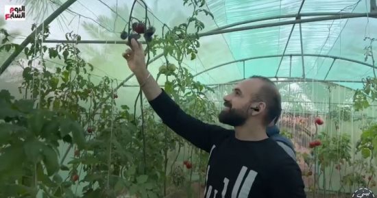 بيزرعوا طماطم سوداء وبنوا مدرسة بأساس من الكاوتش.. حكاية أسرة اختارت الحياة بعيدا عن الزحام