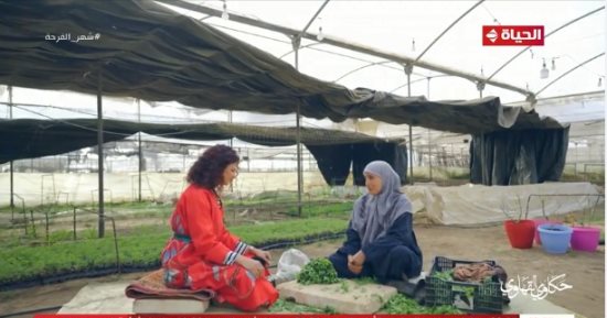 حكاوى القهاوى: أم حسين ست شاطرة فى زراعة الورد ورعايته.. فيديو