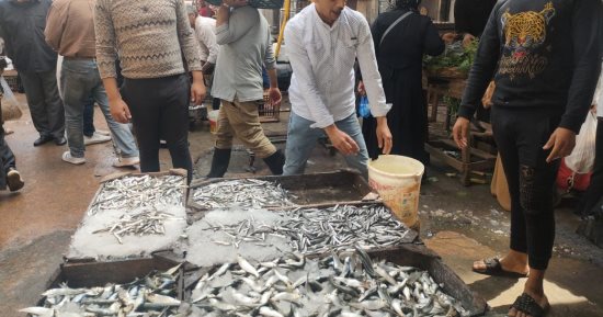 ضبط 1800 كجم من البساريا الفاسدة قبل بيعها للمواطنين بالفيوم