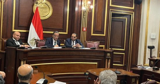 ثقافة الشيوخ توصى بتضافر الجهود لوضع استراتيجية للاستفادة من الإنتاج المسرحى