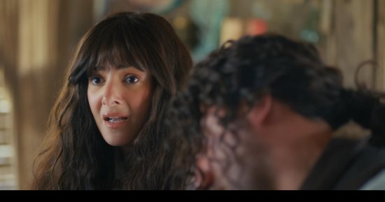 جت سليمة.. أبرز ما قيل عن الحمام الزاجل فى التراث والموسوعات