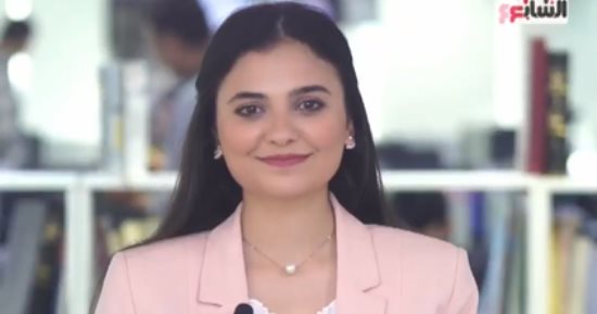 أثرياء العالم حاولوا بناء المدينة الفاضلة.. من حقهم