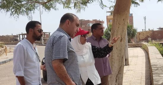نائبة محافظ أسوان تتابع تنفيذ مشروع تطوير منطقة الطابية الأثرية.. صور