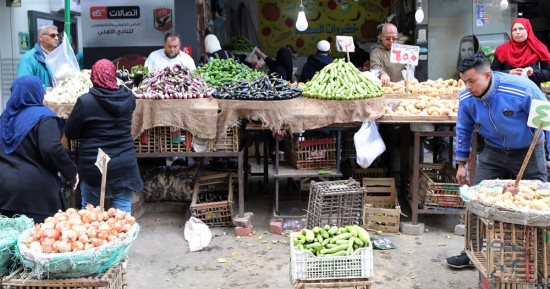 أسعار الخضراوات فى مصر تواصل استقرارها