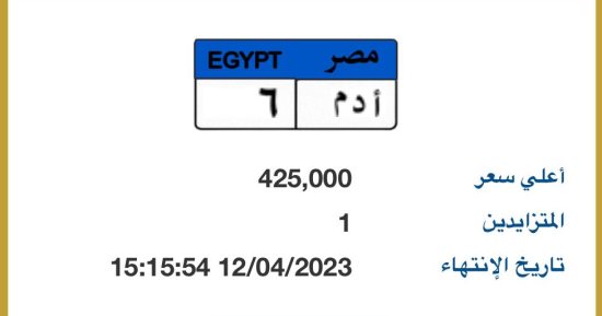 أغلى 3 لوحات معدنية مميزة بالمزاد الإلكترونى.. "أ د م 6" بـ425 ألف جنيه 