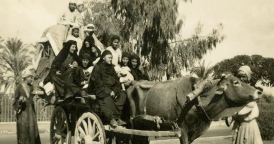 أسرار القاهرة بالأبيض والأسود.. وسائل نقل شاهدة على الحركة الاجتماعية فى مصر 