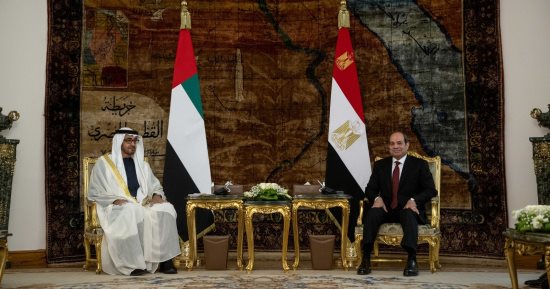 الرئيس السيسى والشيخ محمد بن زايد يبحثان تطوير التعاون فى جميع المجالات