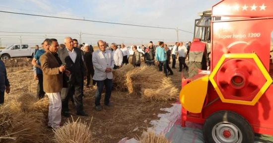 محافظ الوادي الجديد يشهد حصاد القمح بمركز باريس تزامنًا مع بدء موسم الحصاد.. صور