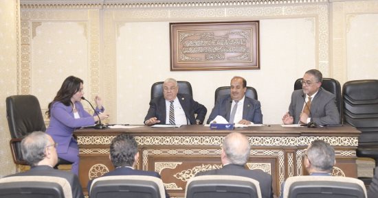 "اقتصادية النواب" تناقش طلب إحاطة لنائبة التنسيقية حول أسباب هروب الشركات الناشئة للخارج