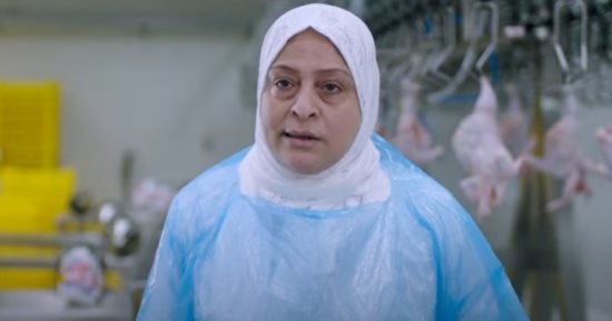رمضان خلف الأسوار.. مزارع الدواجن تنتج آلاف "البيض" يوميا (صور)