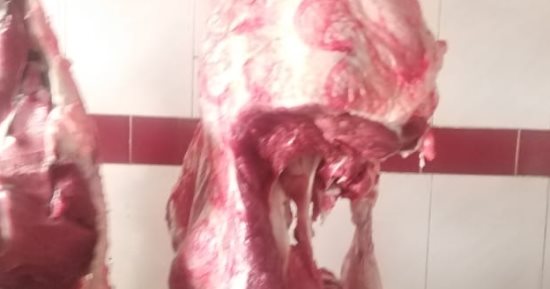 بيطرى الأقصر تضبط لحوما غير صالحة للاستهلاك خلال حملات مكثفة قبل عيد الفطر.. صور