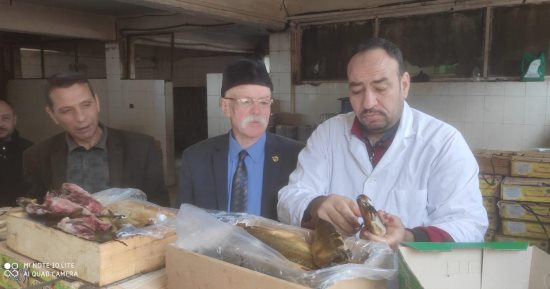 ضبط أسماك مدخنة غير صالحة للاستهلاك فى حملة بالغربية