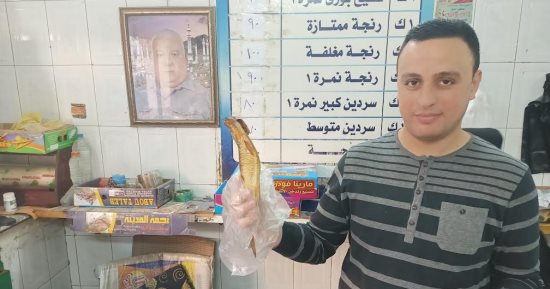 إقبال على محال بيع الأسماك المملحة بالمنوفية هذا العام.. فيديو