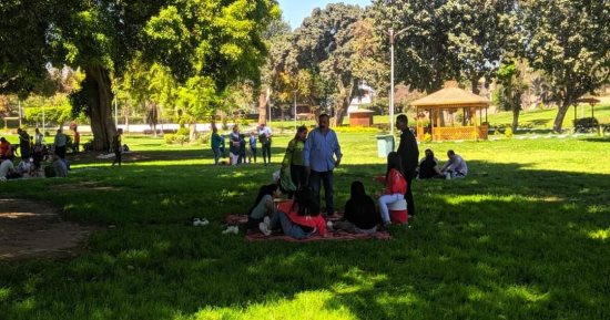 "رحلة جميلة في القناطر.. كلنا عيلة".. 7 حدائق تفتح أبوابها للمواطنين للاحتفال بشم النسيم وإقبال كبير من الأسر .. التذاكر تبدأ من 5 جنيهات للفرد حتى 20 جنيها.. والمحافظ يوزع الهدايا والورود على الأطفال .. صور