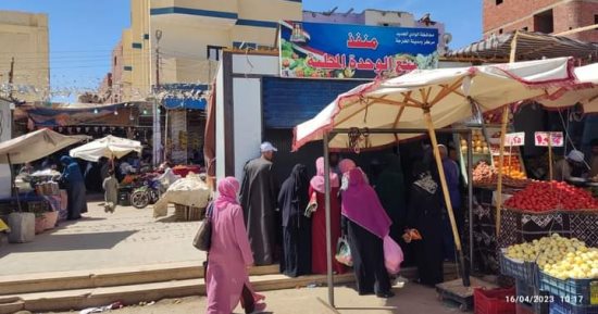 محافظ الوادى الجديد: استمرار طرح الأسماك والخضراوات والسلع المخفضة بالمنافذ