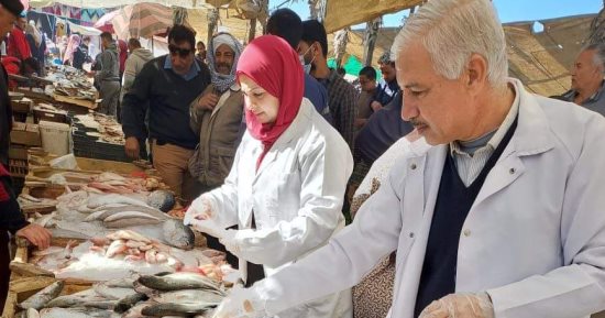ضبط 3 أطنان أسماك ولحوم مخالفة بحملات تفتيشية فى الشرقية