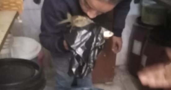 ضبط كمية من فسيخ غير صالحة للاستهلاك الآدمى فى حملات بمدينة أرمنت.. صور