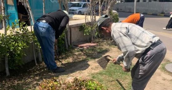 رفع كفاءة حدائق طوسون وكوبرى المندرة بالمنتزة ضمن "100 مليون شجرة" فى الإسكندرية