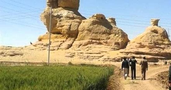 الجمل الرابض عمل فنى عملاق صنعته الطبيعة وإضافة لمعالم الوادى الجديد.. صور