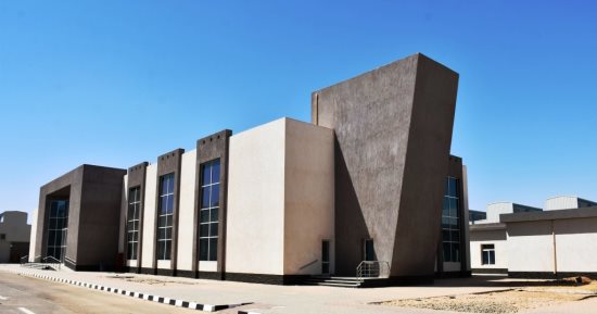 أسوان تفتح نافذة جديدة على الاستثمار.. 27 مصنعًا جديدًا وفنادق سياحية ومشروعات إنتاجية.. تسليم 33 وحدة وورشة بالمنطقة الصناعية بالجنينة والشباك.. والمحافظ يؤكد: نحاول استغلال الثروات التعدينية والسمكية.. صور