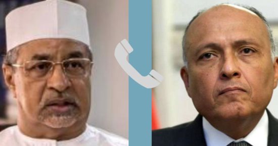 وزير الخارجية يؤكد ضرورة امتناع أى طرف خارجى عن التدخل فى الشان السودانى