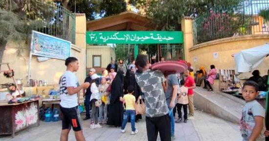 العيد فرحة.. "حديقة الحيوان بالإسكندرية" أرخص فسحة للأسرة بـ5 جنيهات
