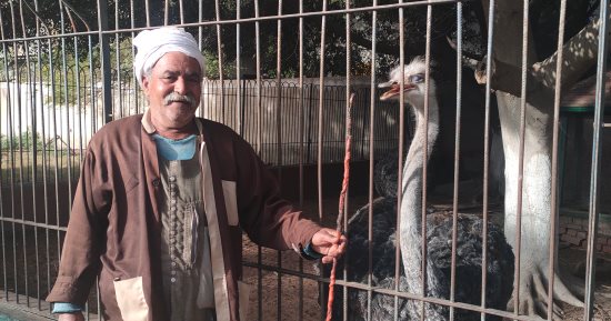 حديقة الحيوان بالزقازيق أشهر منتزهات الشرقية