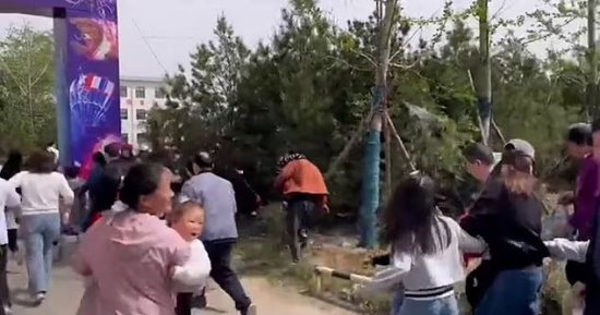 أسود تهرب من السيرك وقت العرض.. شاهد رد فعل الجمهور