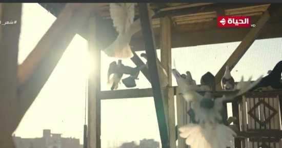حكاوى القهاوى يسلط الضوء على صاحب "غية حمام" فى الجمالية.. فيديو