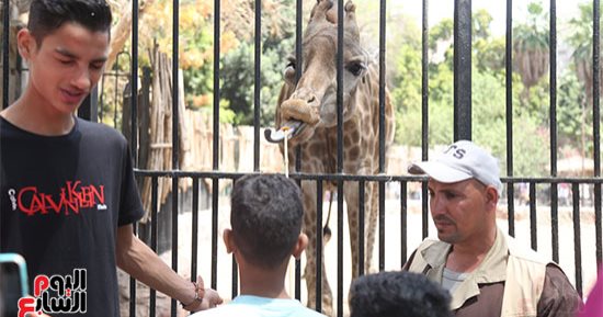 فرحة أول أيام عيد الفطر.. حديقة الحيوان كامل العدد