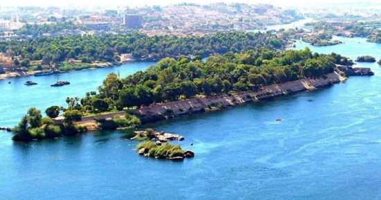جزيرة النباتات النادرة بأسوان مقصد سياحى على الخريطة الدولية.. متحف كبير على مساحة 17 فدانا يضم 780 نوعا نادرا من الأشجار وتكونت من ترسيب الطمى قبل بناء السد العالى.. و"الجاك فروت" أغرب أشجار الفاكهة