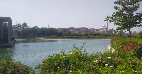 بحيرة حديقة الأزهر وأسماكها الملونة قبلة الزوار باحتفالات العيد